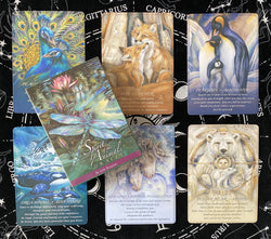 Animal Spirit Light Angel Goddess Dream Oracle Card